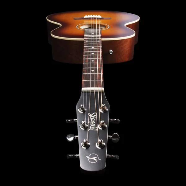 Entourage MJ - rustic burst semi gloss