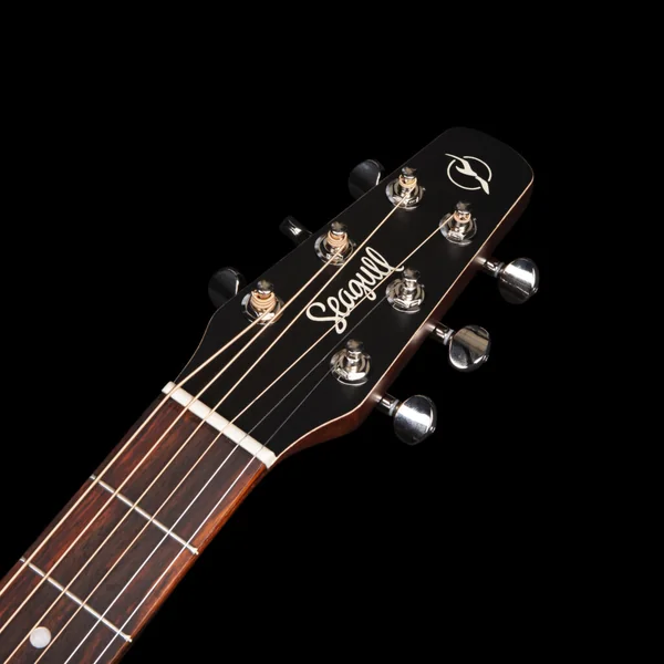 Entourage MJ - rustic burst semi gloss
