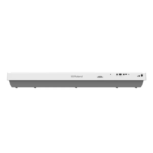 FP-30X WH