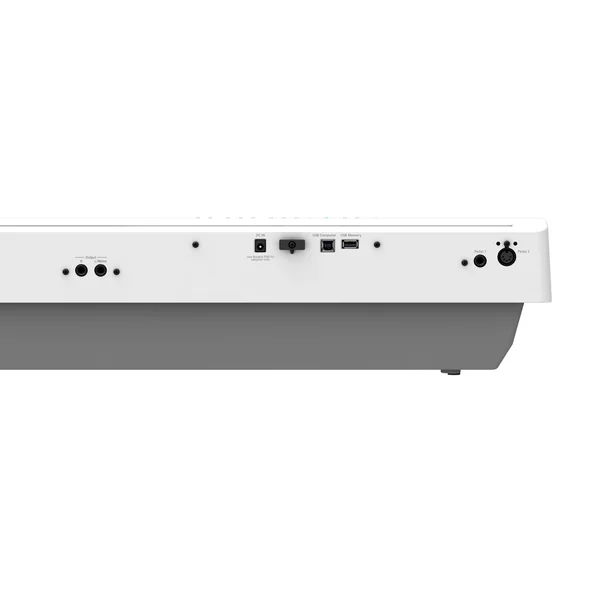 FP-30X WH