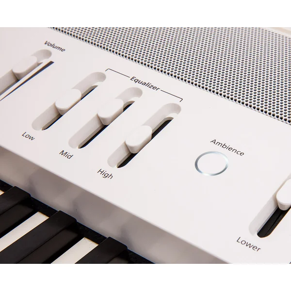 FP-60X BK