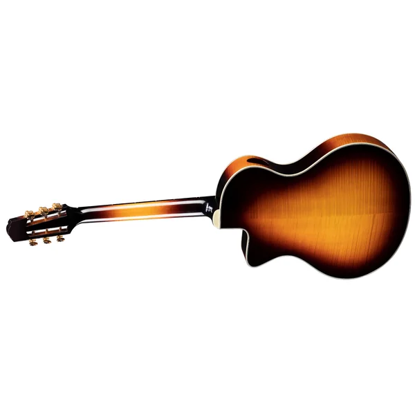 Franck Vignola Model FV880CE - sunburst