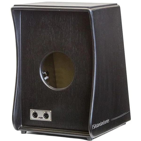 FS2501 Standard Amplifié Noir