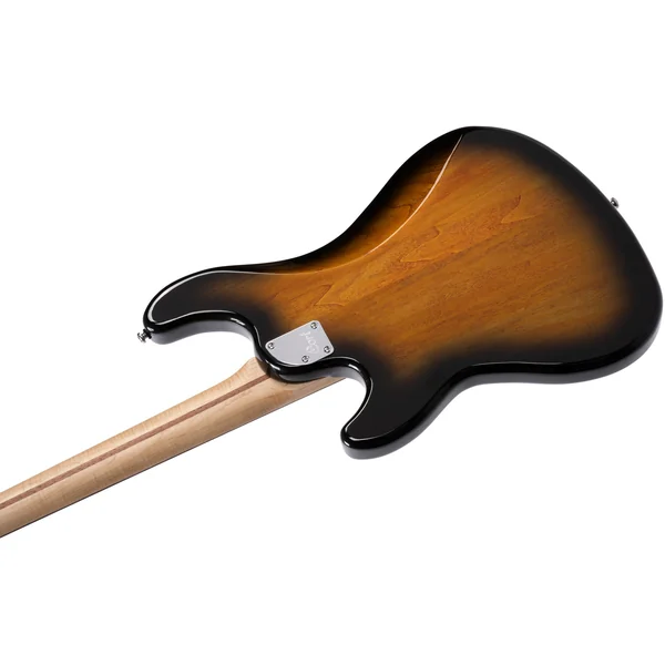 GB24JJ - 2 tone sunburst
