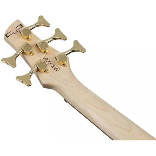 Gio GSR205PC TMU 5-String - transparent marine burst
