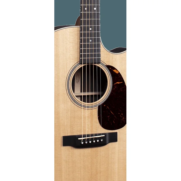 GPC-16E Rosewood - natural gloss top
