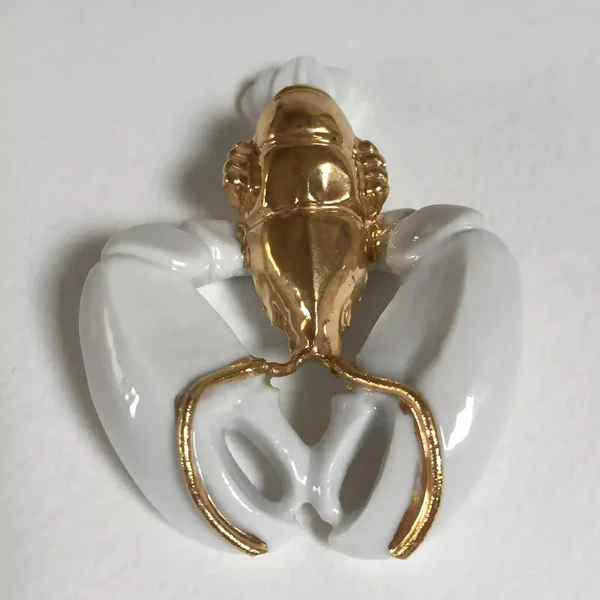 Homard Porte-couvert