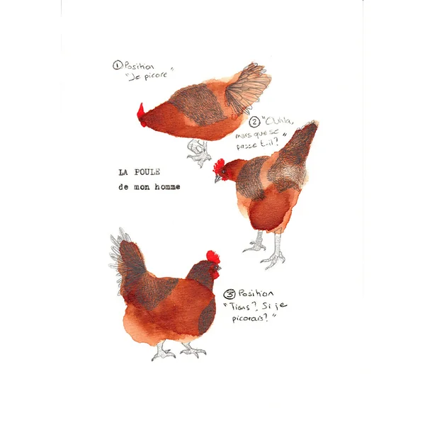 La poule de mon homme #2