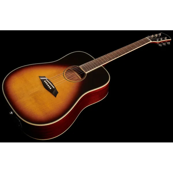 Larry Carlton A3-D - vintage sunburst