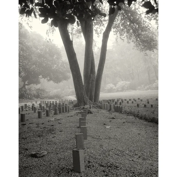 Last Stand (Blake Garden Intervention V)