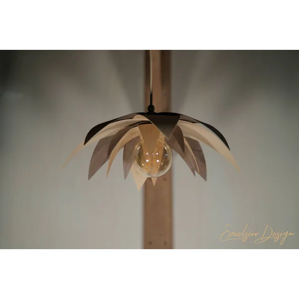 Lotus - Suspension