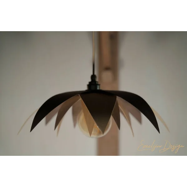Lotus - Suspension