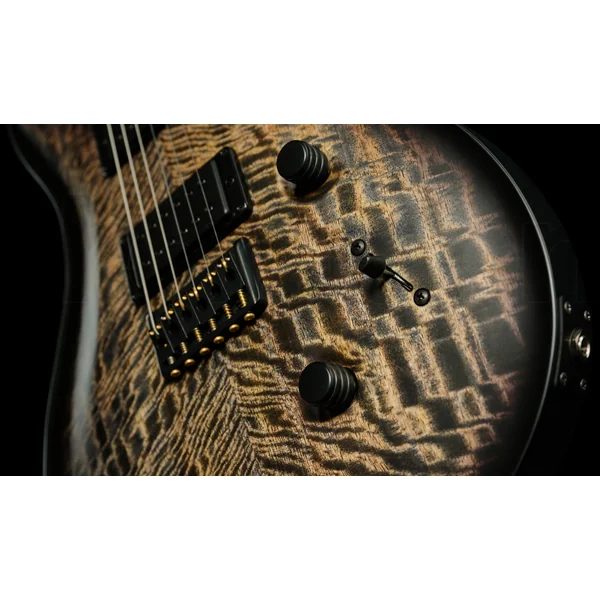 Mark Holcomb - charcoal wraparound burst
