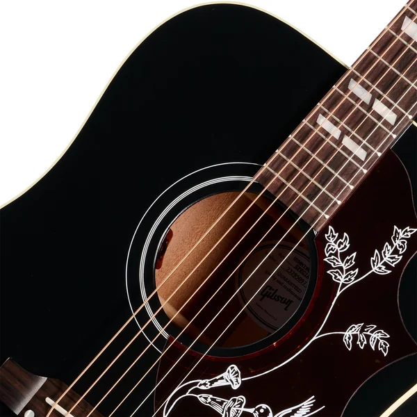 Modern Hummingbird Special - satin ebony