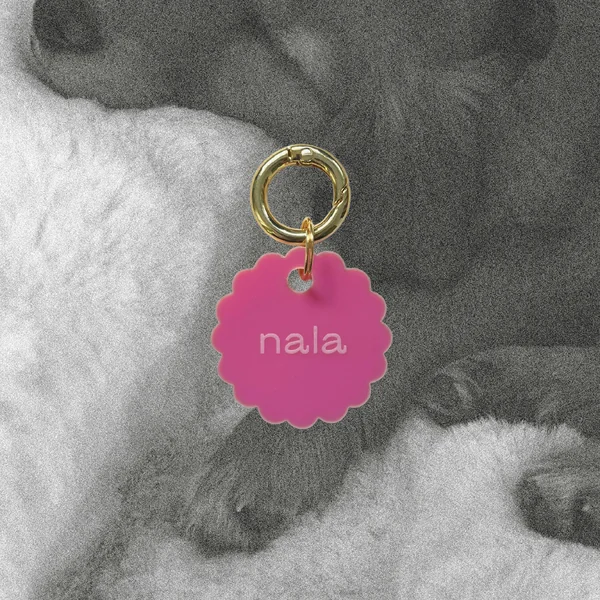 Médaille — Bloom ?