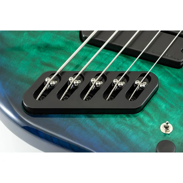 Nashville Combustion 3-Pickups (5-String, MN) - whalepool burst