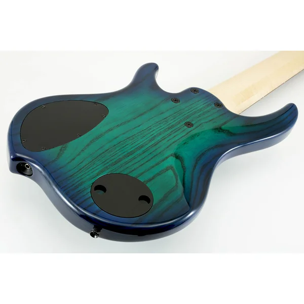 Nashville Combustion 3-Pickups (5-String, MN) - whalepool burst
