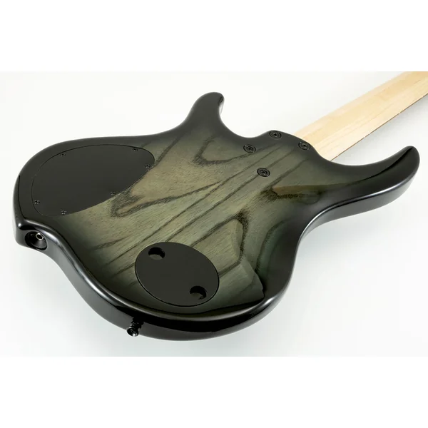 Nashville Combustion 3-Pickups (5-String, PF) - 2-tone black burst