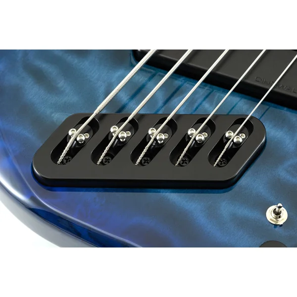 Nashville Combustion 3-Pickups (5-String, PF) - indigo burst