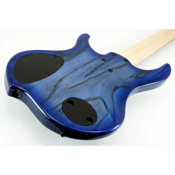 Nashville Combustion 3-Pickups (5-String, PF) - indigo burst