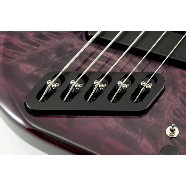 Nashville Combustion 3-Pickups (5-String, PF) - ultraviolet burst