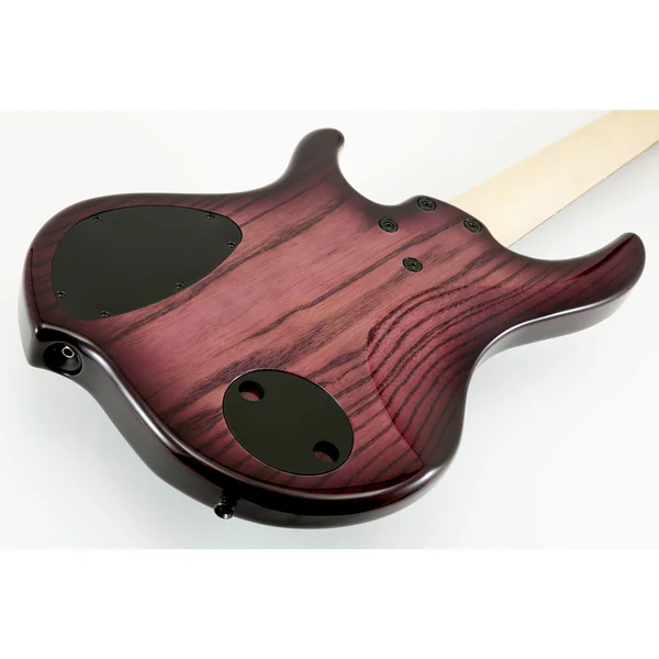 Nashville Combustion 3-Pickups (5-String, PF) - ultraviolet burst