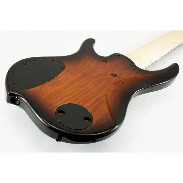 Nashville Combustion 3-Pickups (6-String, PF) - vintage burst