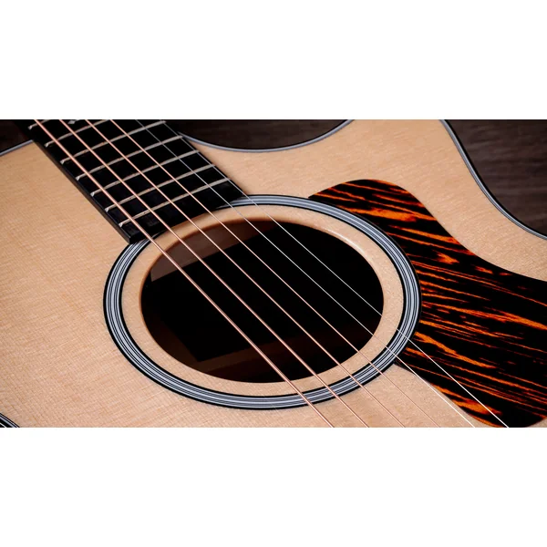 Next Generation 314ce LH - natural
