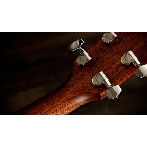 Next Generation 514CE - natural