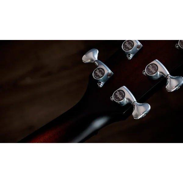 Next Generation Builder's Edition 524ce - kona burst