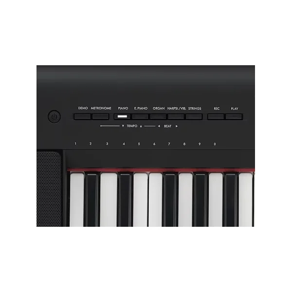 NP-15 B