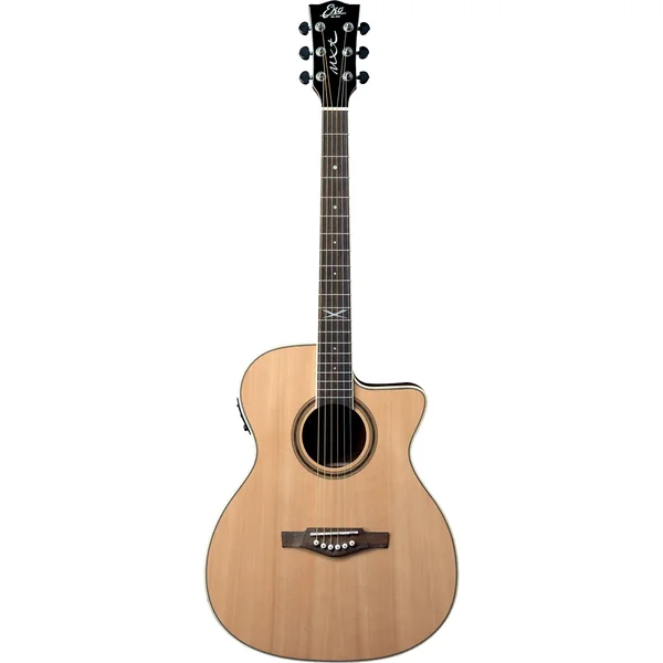 NXT-A100CWE Natural