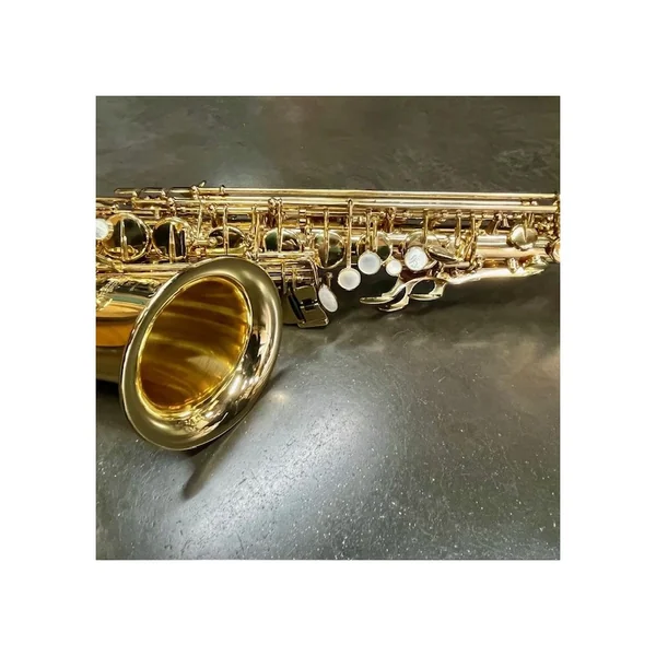 Occasion - Saxophone Alto Super Action 80 Série II n° 530XXX - Selmer
