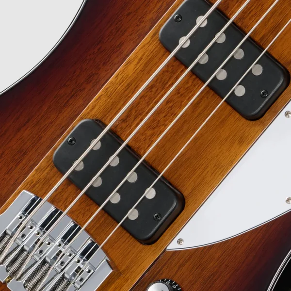 Original Thunderbird Bass - tobacco burst perimeter