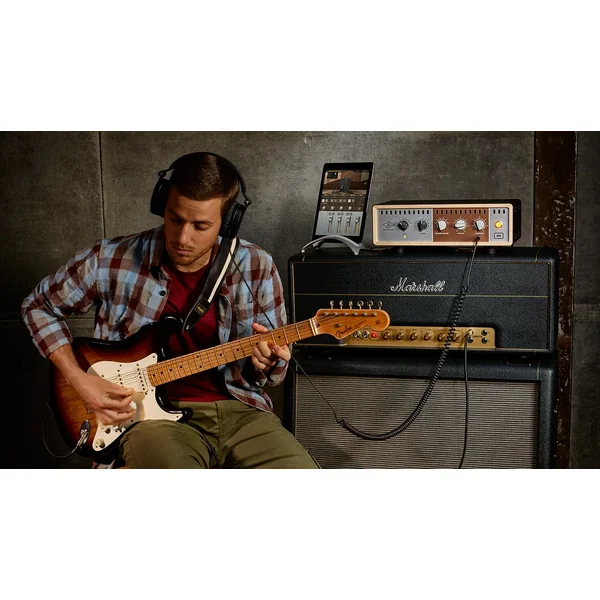 OX Amp Top Box