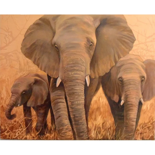 Pachyderm