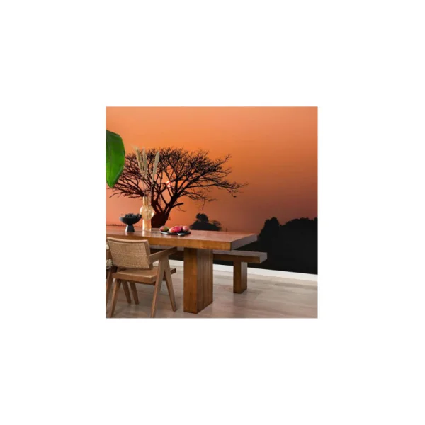Panoramique RASCH African Queen III 363647