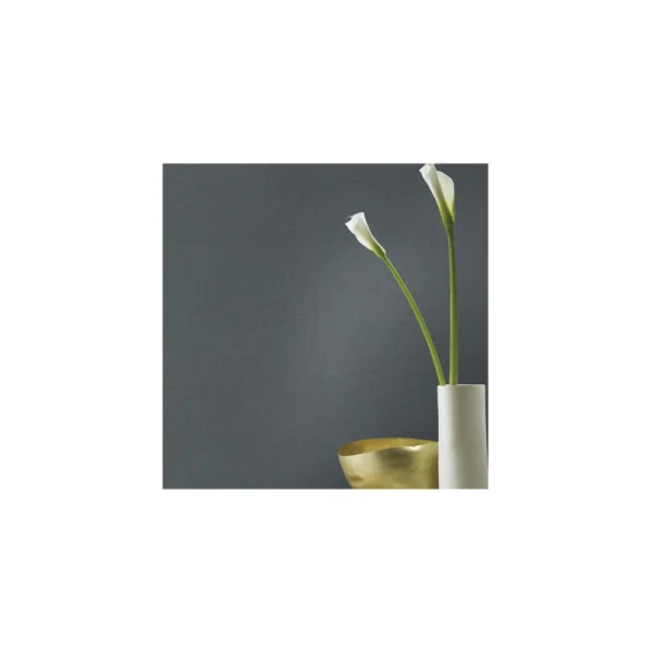 Papier peint RASCH Collection PLAINS référence 229089