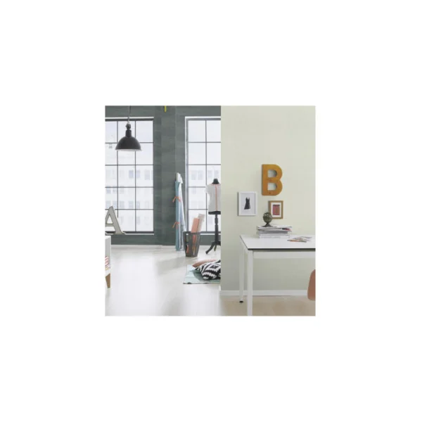 Papier peint RASCH Collection PLAINS référence 229263