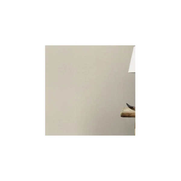 Papier peint RASCH Collection PLAINS référence 229270