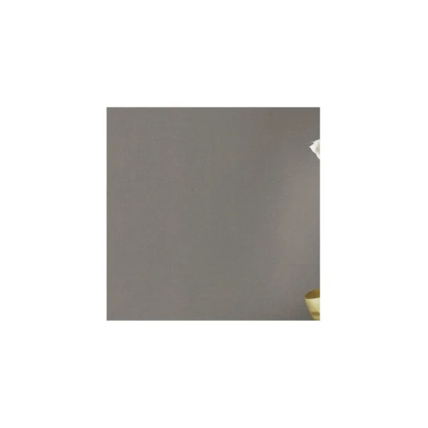 Papier peint RASCH Collection PLAINS référence 229294