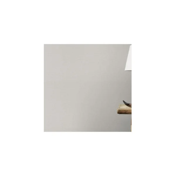 Papier peint RASCH Collection PLAINS référence 295589