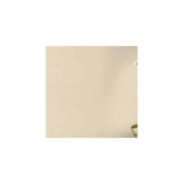 Papier peint RASCH Collection PLAINS référence 295596