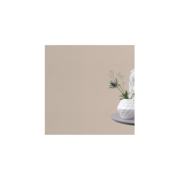 Papier peint RASCH Collection PLAINS référence 295633