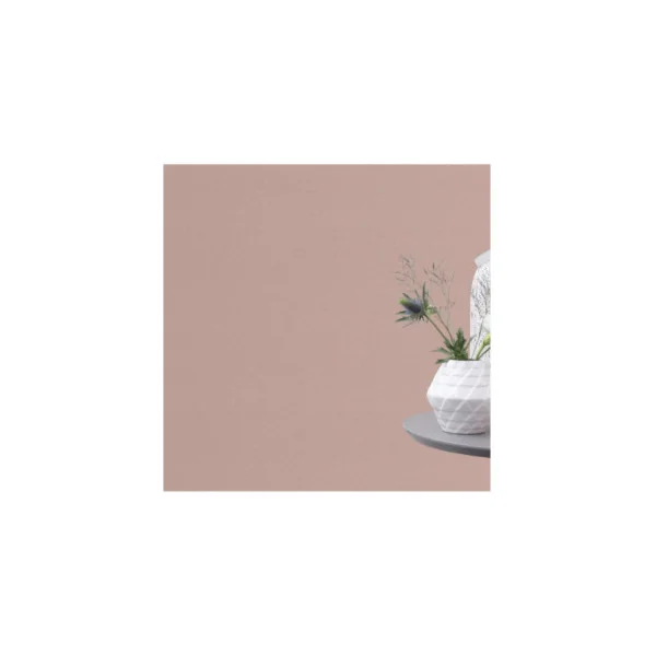 Papier peint RASCH Collection PLAINS référence 295640