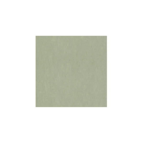 Papier peint RASCH Collection PLAINS référence 298986
