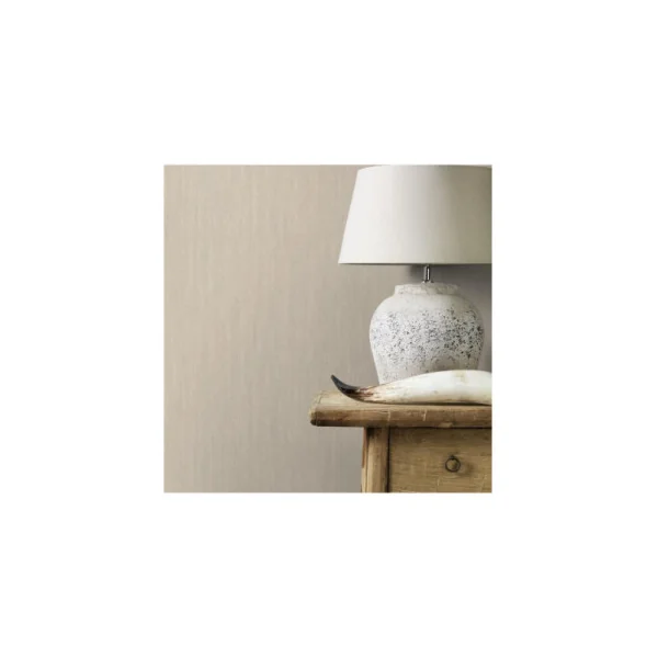 Papier peint RASCH Collection PLAINS référence 299938