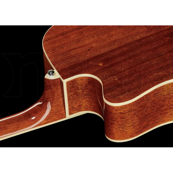 Performance PF1512ECE NT 12-String - natural