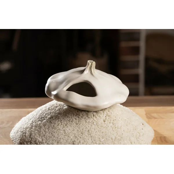 Pâtisson à fleur de sel