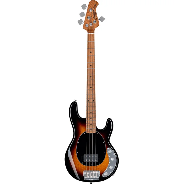 Ray 34 Maple